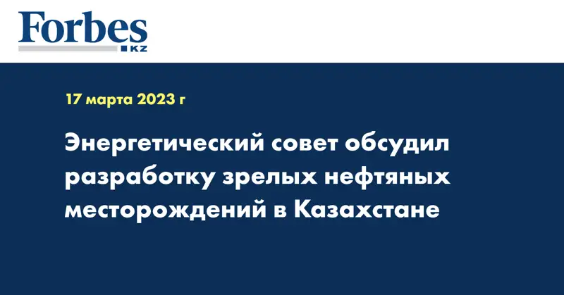 Энергетический совет обсудил разработку зрелых нефтяных месторождений в Казахстане