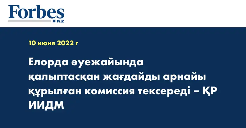 Елорда әуежайында қалыптасқан жағдайды арнайы құрылған комиссия тексереді – ҚР ИИДМ