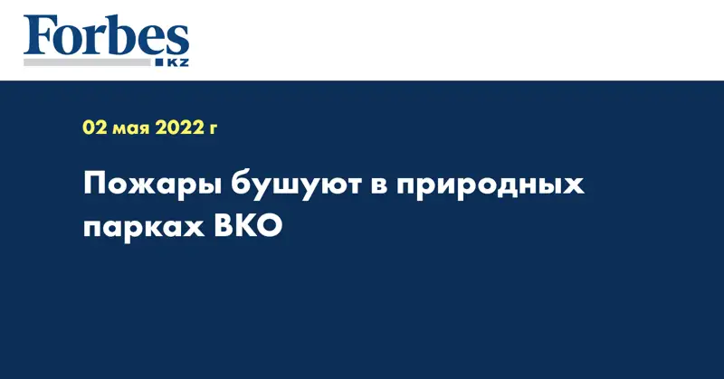 Пожары бушуют в природных парках ВКО  