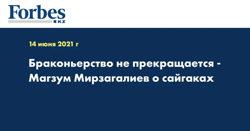 Браконьерство не прекращается - Магзум Мирзагалиев о сайгаках