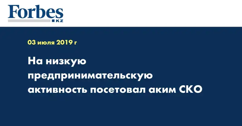  На низкую предпринимательскую активность посетовал аким СКО