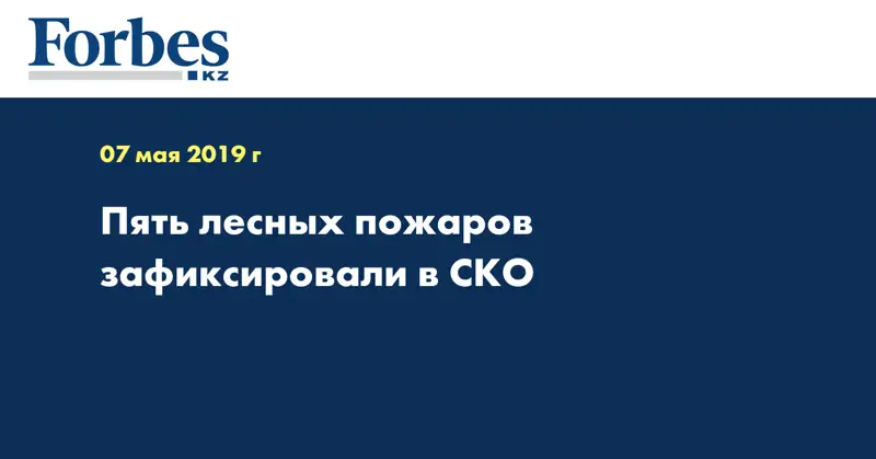 Пять лесных пожаров зафиксировали в СКО  