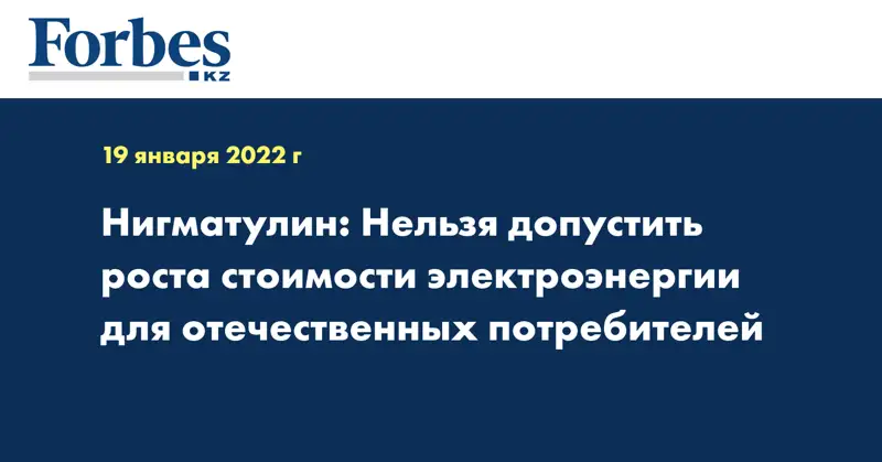 Нигматулин: Нельзя допустить роста стоимости электроэнергии для отечественных потребителей