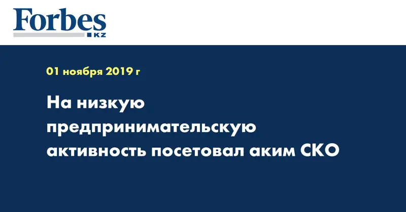 На низкую предпринимательскую активность посетовал аким СКО