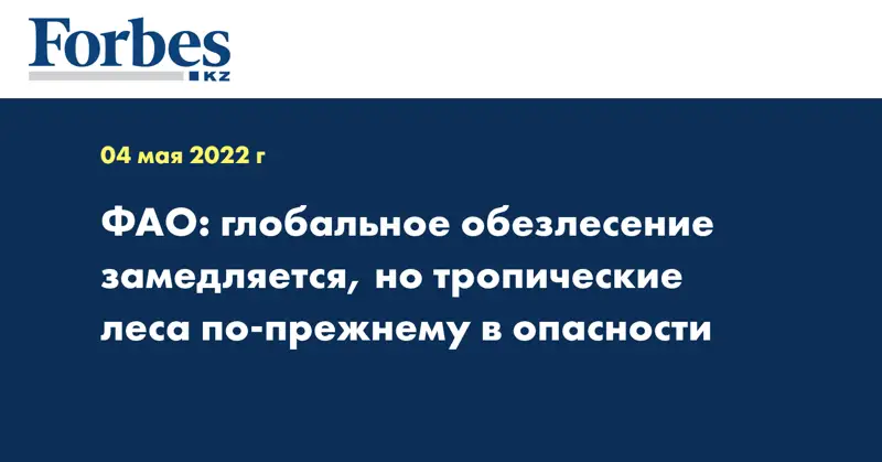 ФАО: глобальное обезлесение замедляется, но тропические леса по-прежнему в опасности