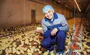 Жизнь в яйце: репродуктор Толукпаева вышел за рамки производственной мощности