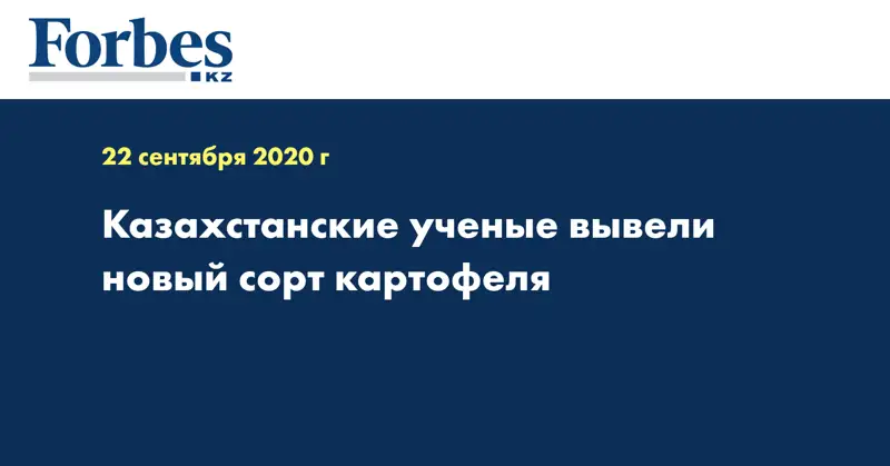 Казахстанские ученые вывели новый сорт картофеля