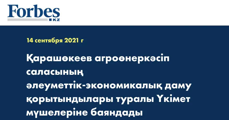 Қарашөкеев агроөнеркәсіп саласының әлеуметтік-экономикалық даму қорытындылары туралы Үкімет мүшелеріне баяндады