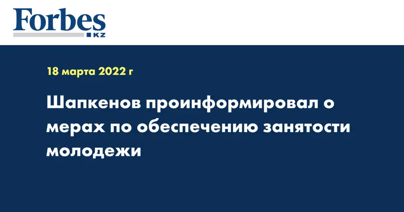 Шапкенов проинформировал о мерах по обеспечению занятости молодежи