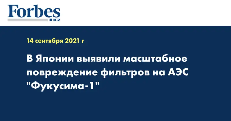 В Японии выявили масштабное повреждение фильтров на АЭС 