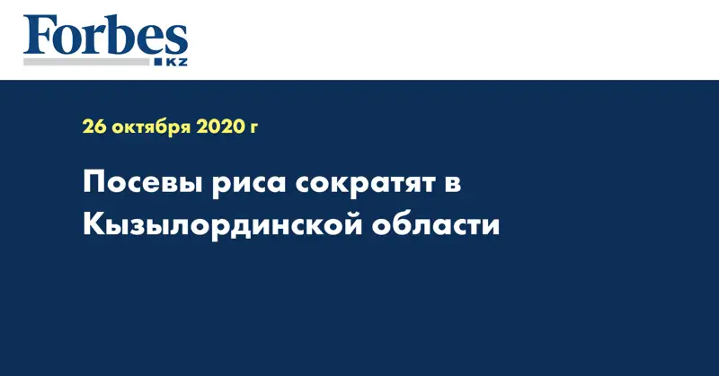 Посевы риса сократят в Кызылординской области