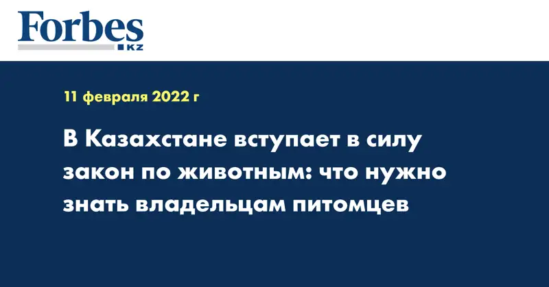 В Казахстане вступает в силу закон по животным: что нужно знать владельцам питомцев