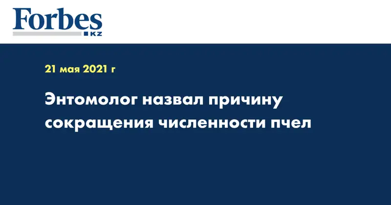 Энтомолог назвал причину сокращения численности пчел