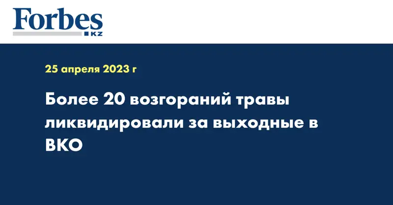 Более 20 возгораний травы ликвидировали за выходные в ВКО