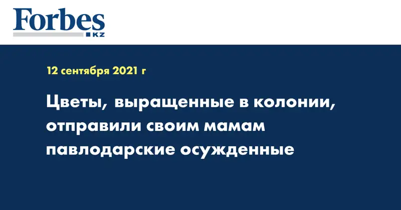 Цветы, выращенные в колонии, отправили своим мамам павлодарские осужденные