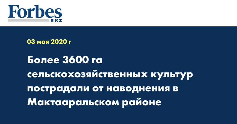Более 3600 га сельскохозяйственных культур пострадали от наводнения в Мактааральском районе 