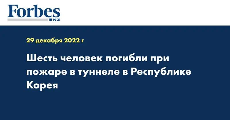 Шесть человек погибли при пожаре в туннеле в Республике Корея