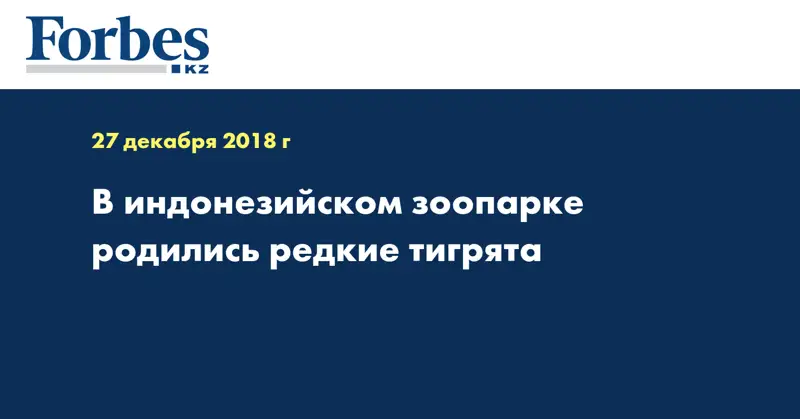 В индонезийском зоопарке родились редкие тигрята