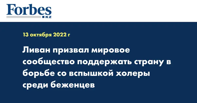 Ливан призвал мировое сообщество поддержать страну в борьбе со вспышкой холеры среди беженцев