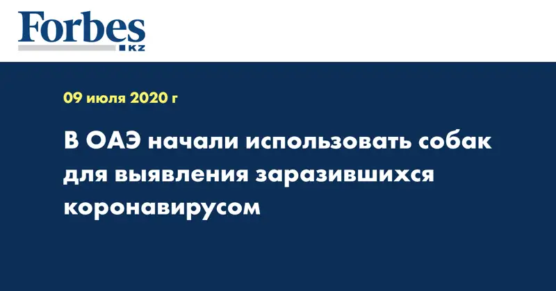 В ОАЭ начали использовать собак для выявления заразившихся коронавирусом