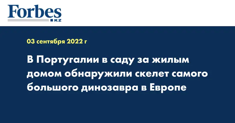 В Португалии в саду за жилым домом обнаружили скелет самого большого динозавра в Европе