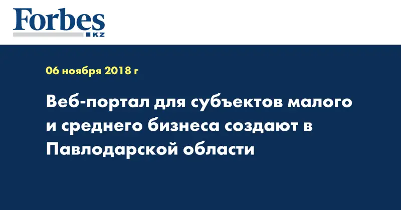 Веб-портал для субъектов малого и среднего бизнеса создают в Павлодарской области
