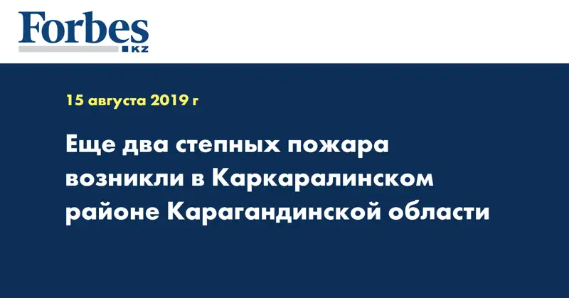 Еще два степных пожара возникли в Каркаралинском районе Карагандинской области