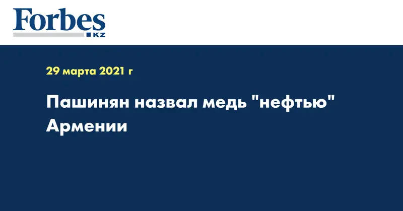 Пашинян назвал медь 