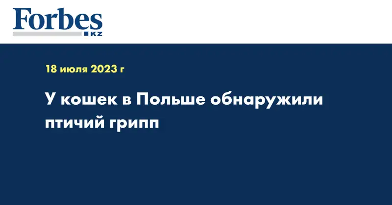 У кошек в Польше обнаружили птичий грипп