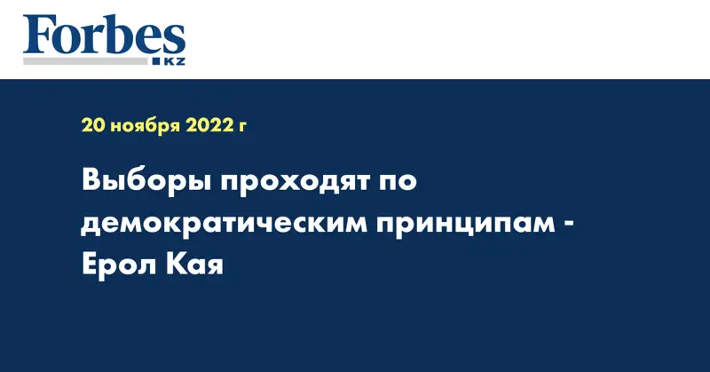 Выборы проходят по демократическим принципам - Ерол Кая