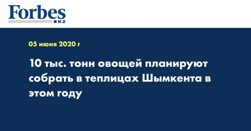10 тыс. тонн овощей планируют собрать в теплицах Шымкента в этом году