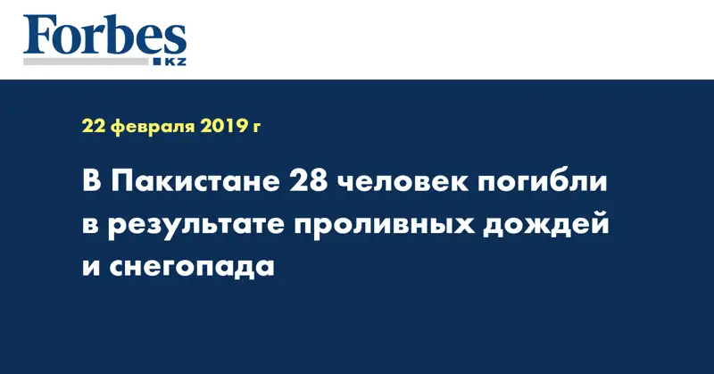 В Пакистане 28 человек погибли в результате проливных дождей и снегопада