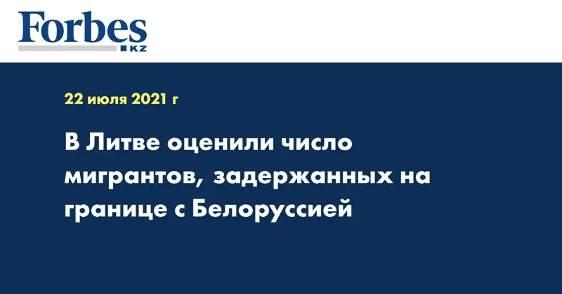 В Литве оценили число мигрантов, задержанных на границе с Белоруссией