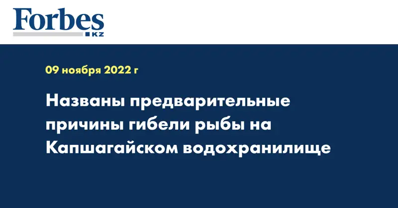 Названы предварительные причины гибели рыбы на Капшагайском водохранилище