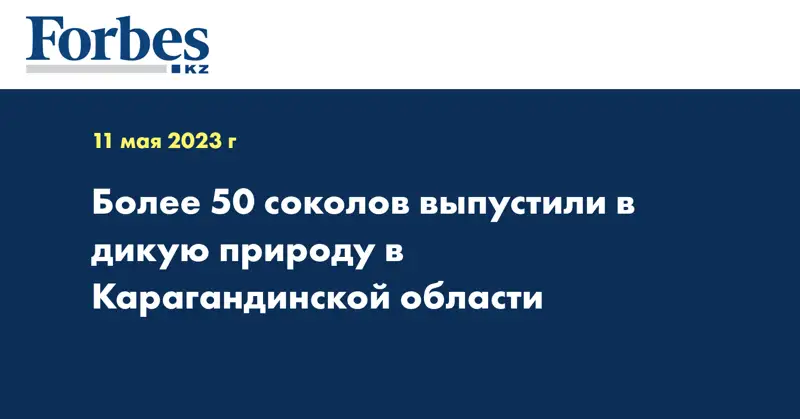 Более 50 соколов выпустили в дикую природу в Карагандинской области