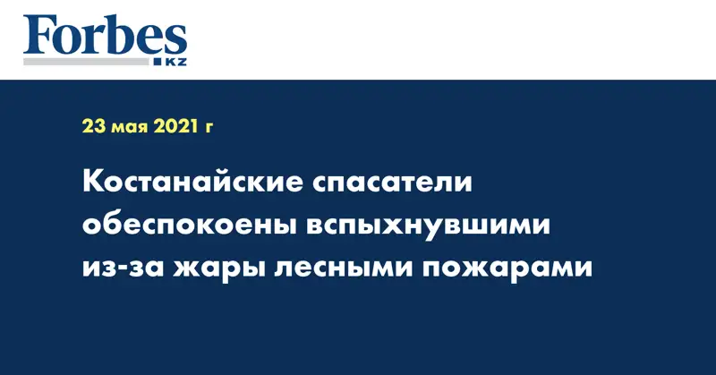 Костанайские спасатели обеспокоены вспыхнувшими из-за жары лесными пожарами
