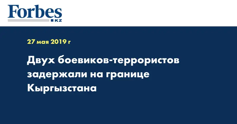 Двух боевиков-террористов задержали на границе Кыргызстана
