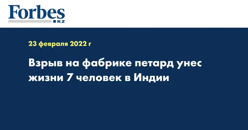 Взрыв на фабрике петард унес жизни 7 человек в Индии