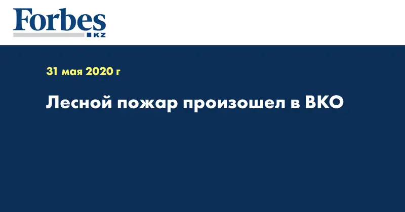 Лесной пожар произошел в ВКО  