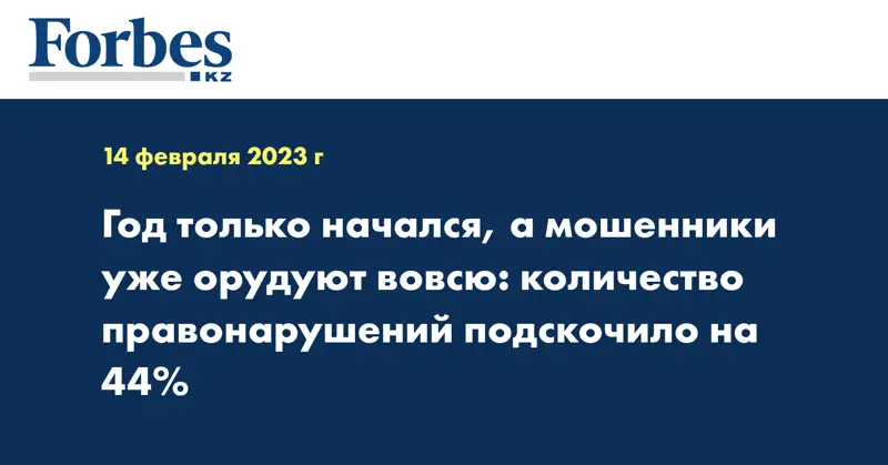 Год только начался, а мошенники уже орудуют вовсю: количество правонарушений подскочило на 44%