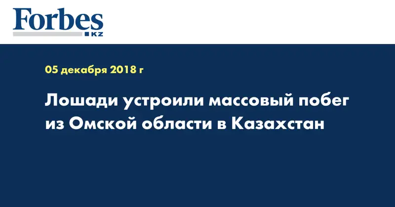 Лошади устроили массовый побег из Омской области в Казахстан