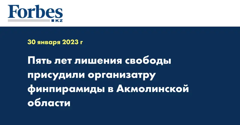 Пять лет лишения свободы присудили организатру финпирамиды в Акмолинской области