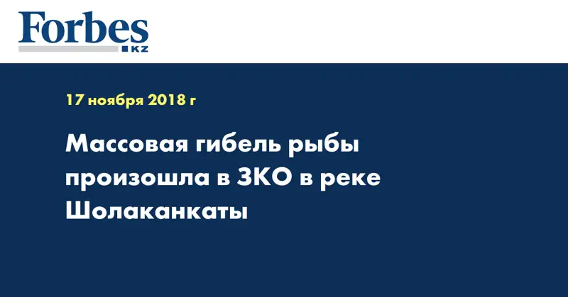 Массовая гибель рыбы произошла в ЗКО в реке Шолаканкаты  