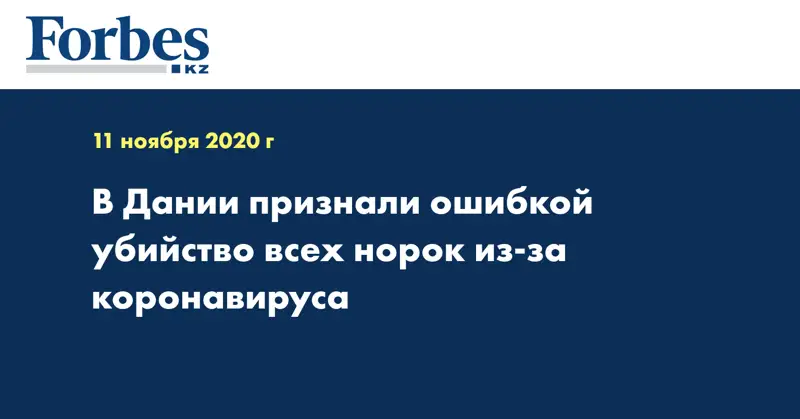 В Дании признали ошибкой убийство всех норок из-за коронавируса