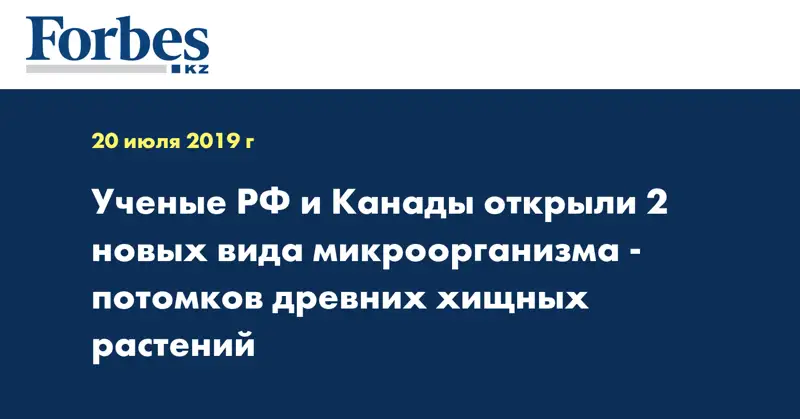 Ученые РФ и Канады открыли 2 новых вида микроорганизма - потомков древних хищных растений