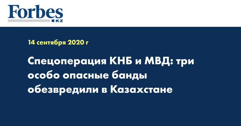 Спецоперация КНБ и МВД: три особо опасные банды обезвредили в Казахстане  