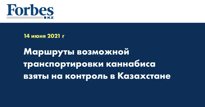 Маршруты возможной транспортировки каннабиса взяты на контроль в Казахстане