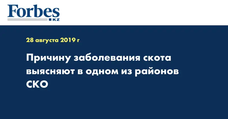 Причину заболевания скота выясняют в одном из районов СКО