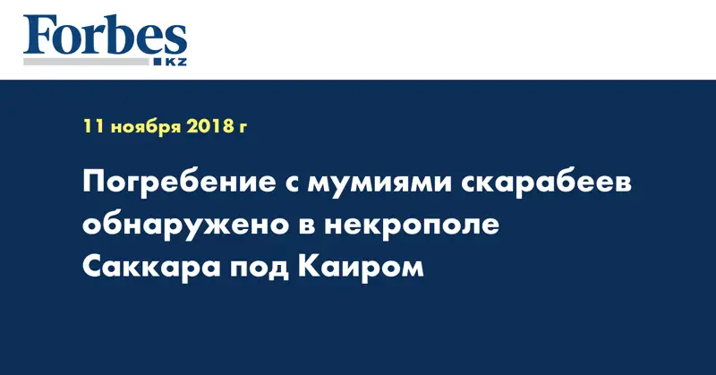 Погребение с мумиями скарабеев обнаружено в некрополе Саккара под Каиром
