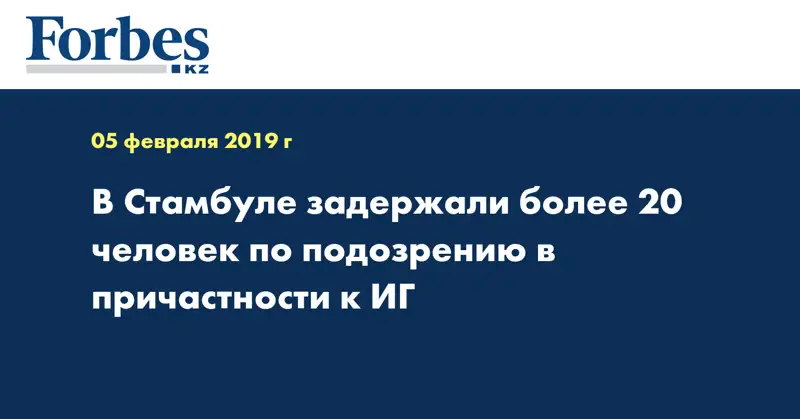 В Стамбуле задержали более 20 человек по подозрению в причастности к ИГ